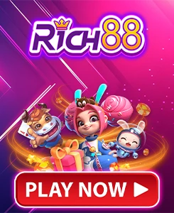 11(RICH 88)